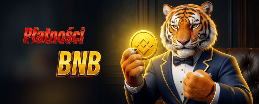 szybkiporadnik platnosci krypto bnb baner
