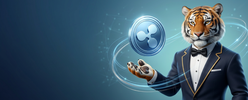 szybkiporadnik platnosci krypto ripple baner